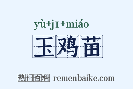 玉鸡苗是什么意思的图片